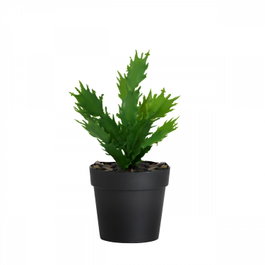 Aberto Design Maceta Decorativa Negro y Verde